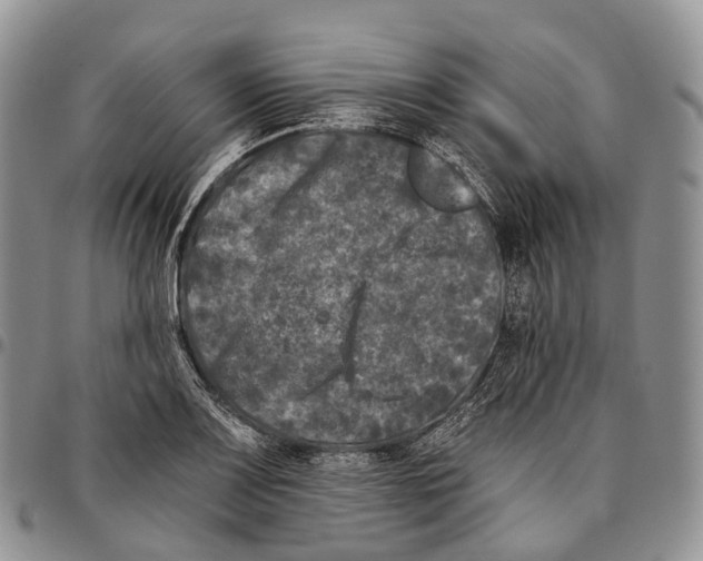 X0000096721083200803041357