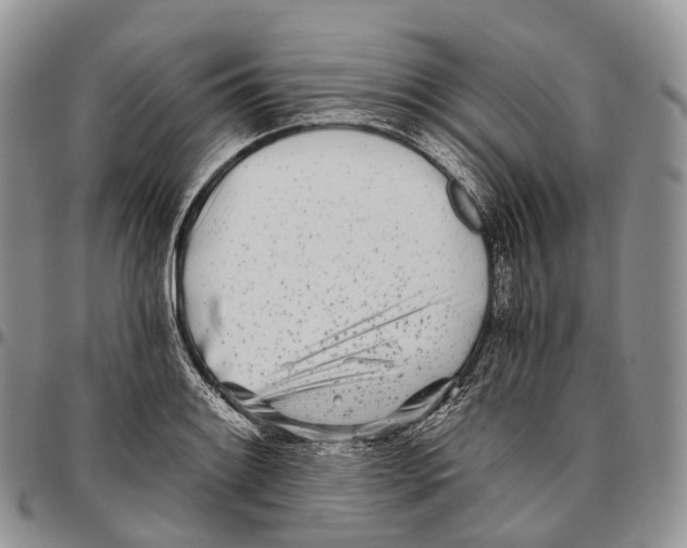 X0000096721084200803041357