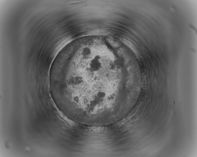 X0000096721087200803041357