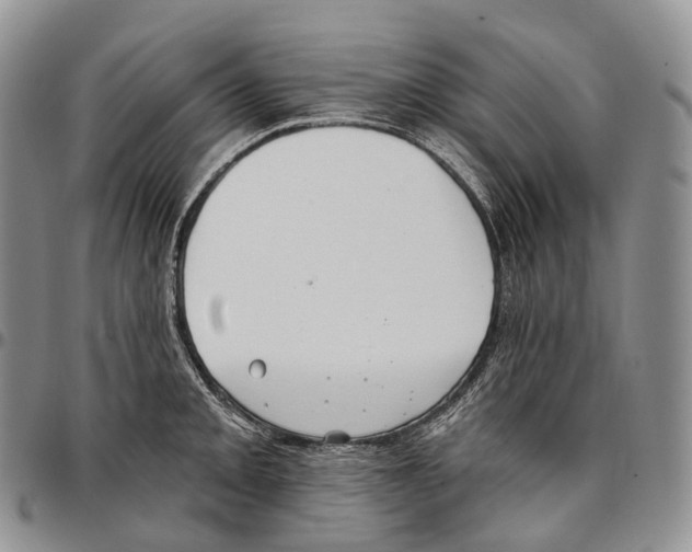 X0000096721093200803041357