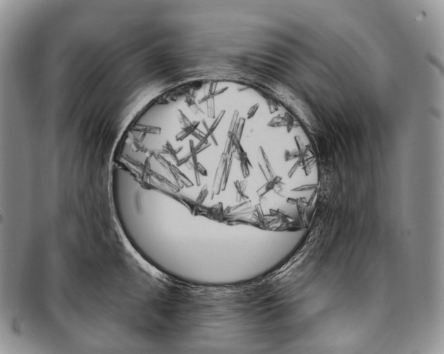 X0000096721095200803041356