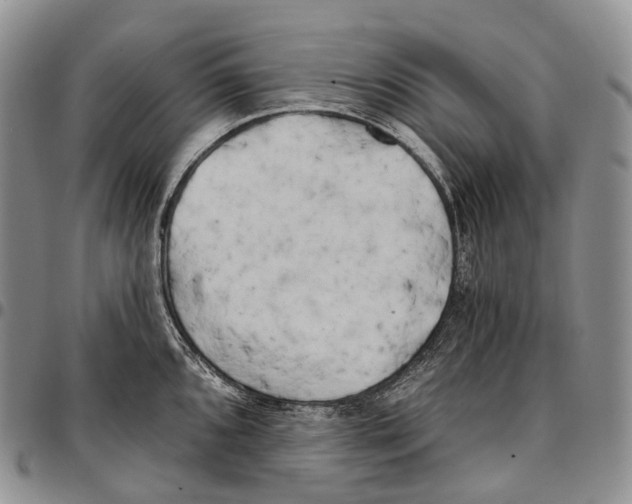 X0000096721096200803041356