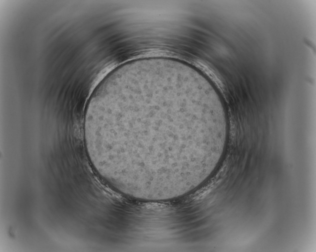 X0000096721097200803041356