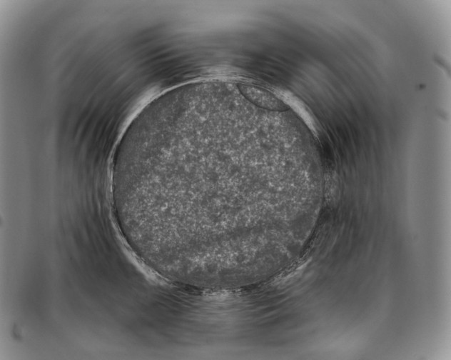 X0000096721099200803041356