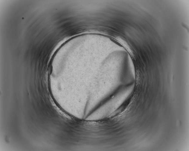 X0000096721100200803041356