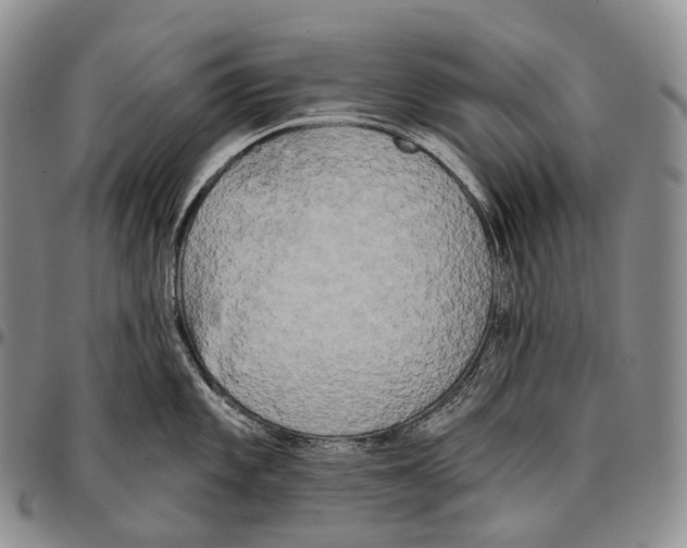 X0000096721101200803041356