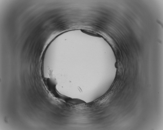 X0000096721102200803041356