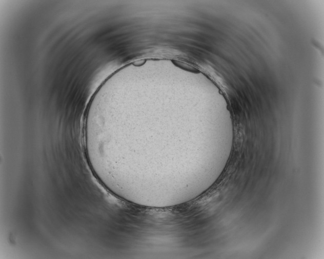 X0000096721103200803041356