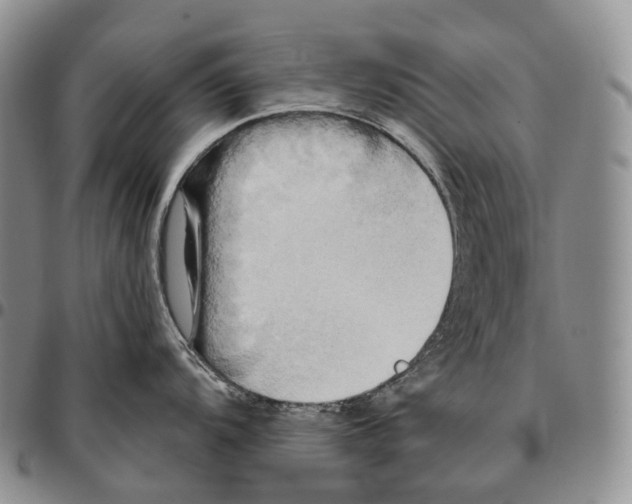 X0000096721104200803041356