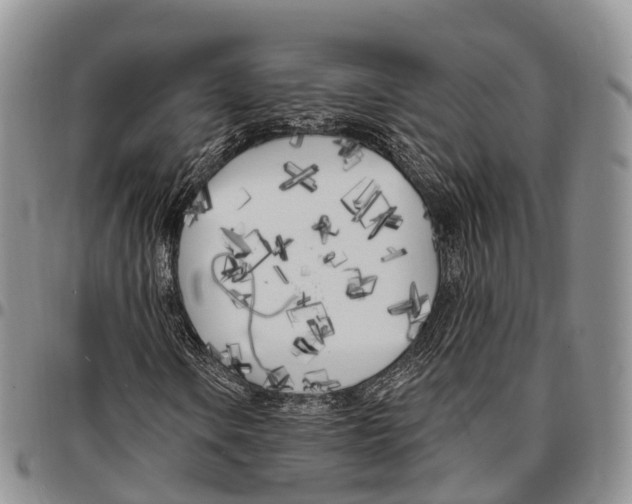 X0000096721106200803041356