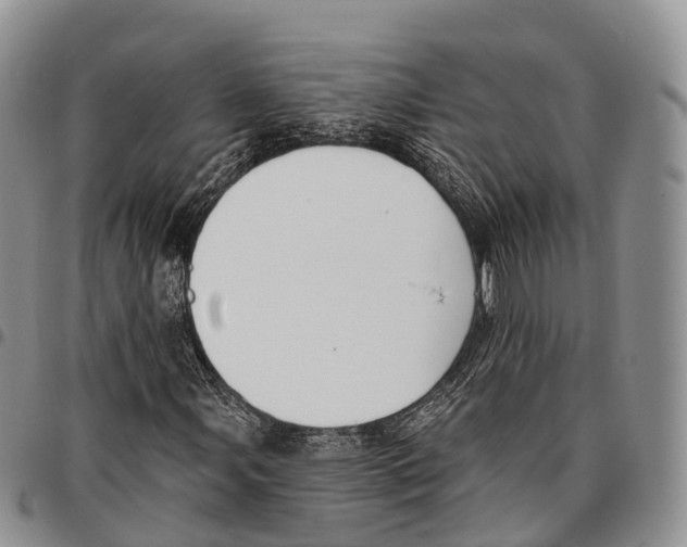 X0000096721107200803041356