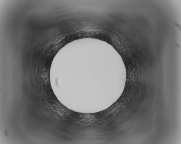 X0000096721109200803041356