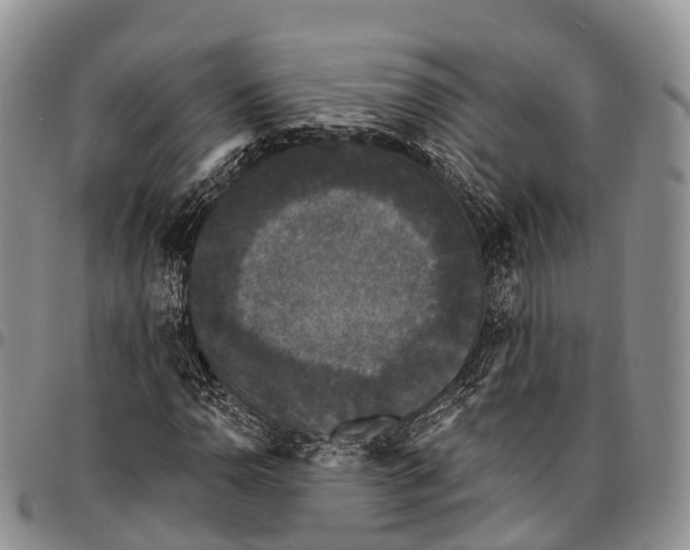 X0000096721110200803041356