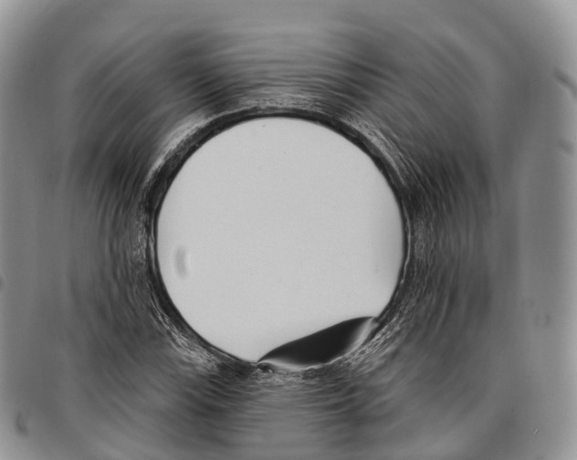 X0000096721115200803041356