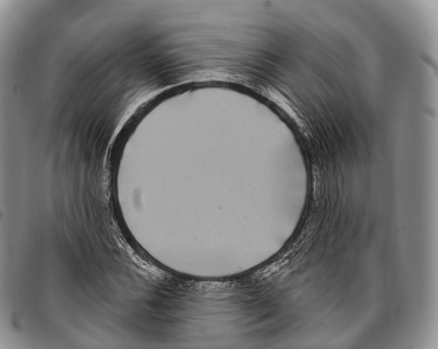 X0000096721116200803041356