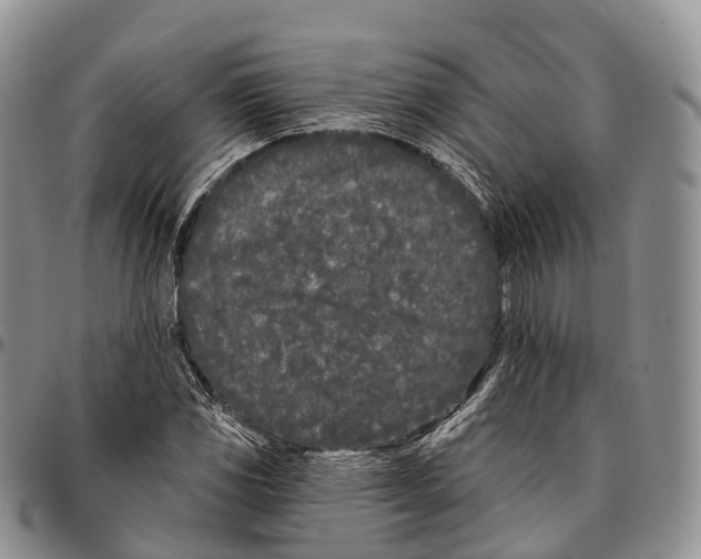 X0000096721117200803041356