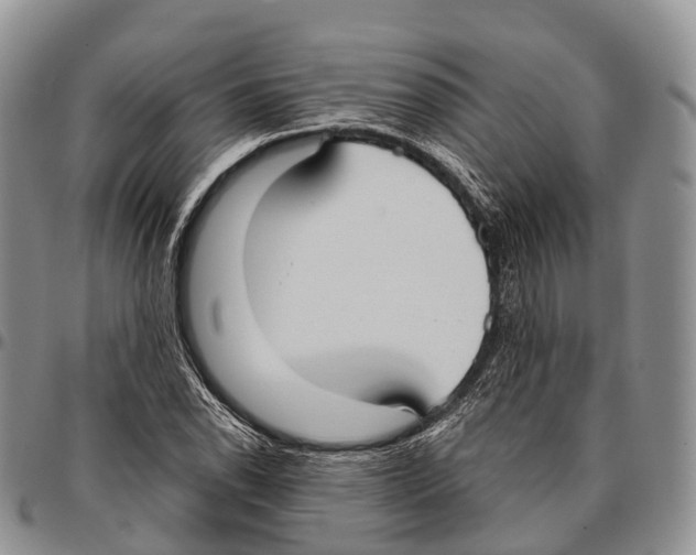 X0000096721118200803041356