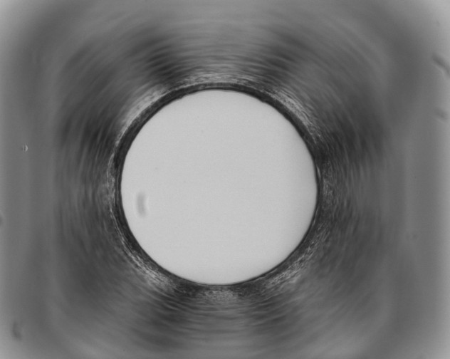 X0000096721119200803041356