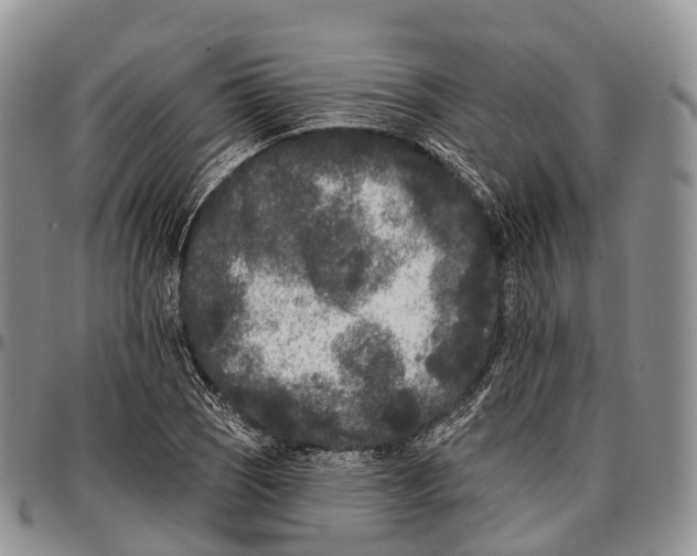 X0000096721121200803041356