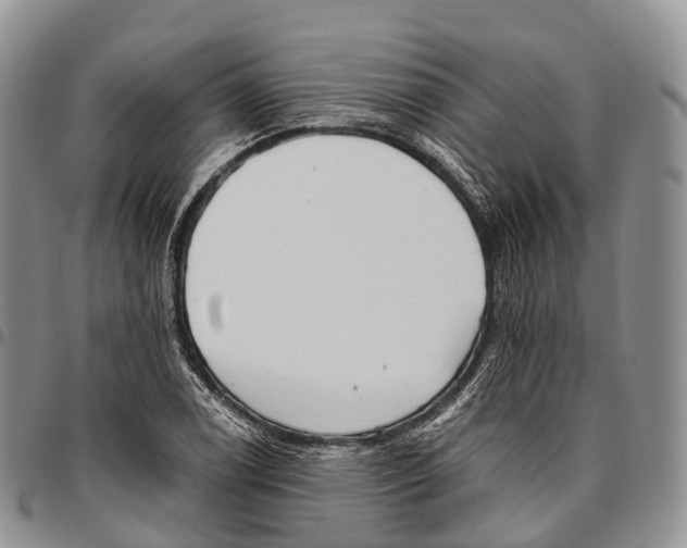 X0000096721122200803041356