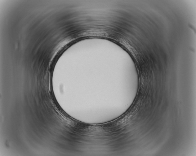 X0000096721123200803041356