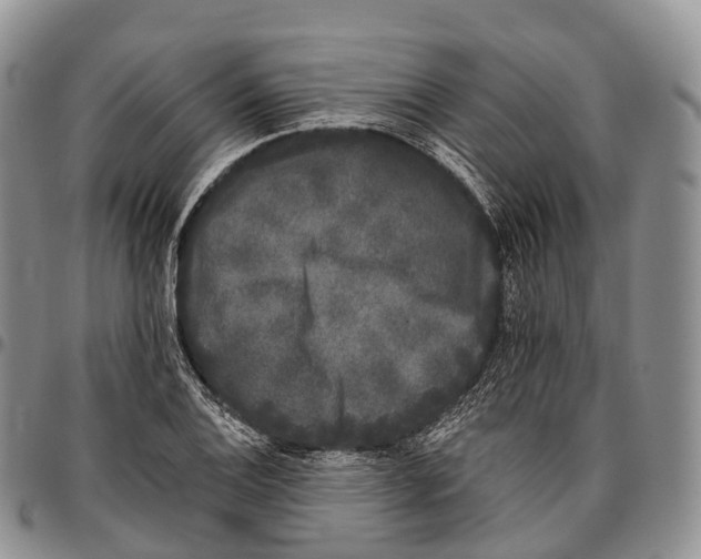 X0000096721124200803041356