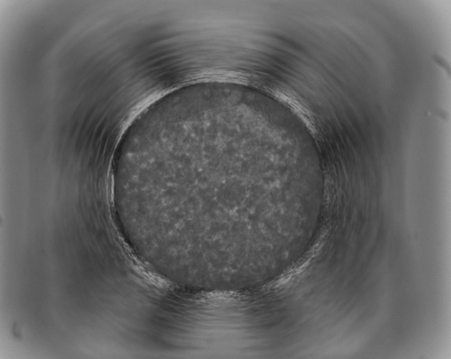 X0000096721125200803041356