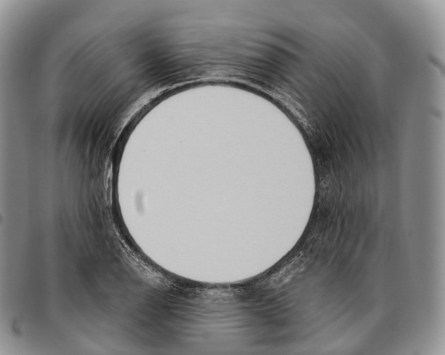 X0000096721126200803041356