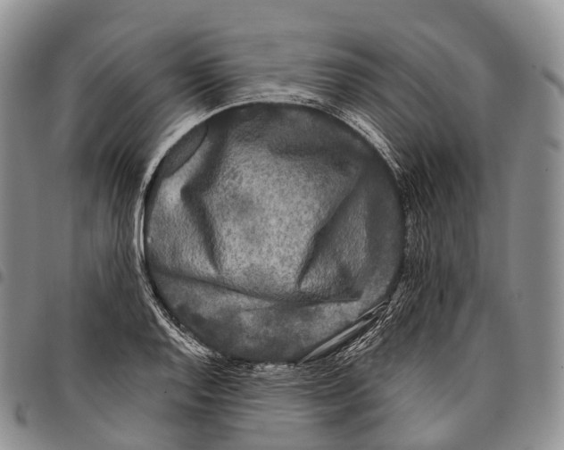 X0000096721128200803041356