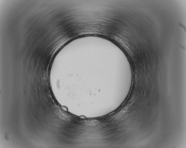 X0000096721129200803041356