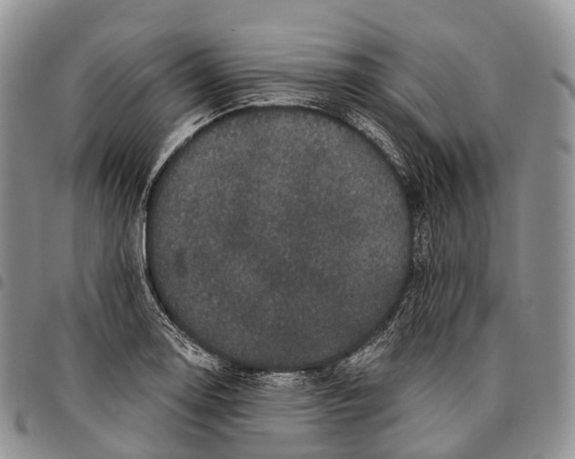 X0000096721130200803041356