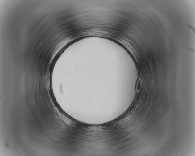 X0000096721131200803041356