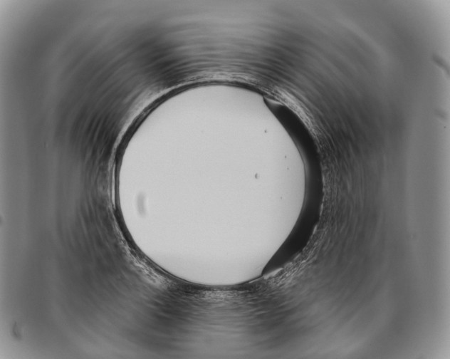 X0000096721132200803041356