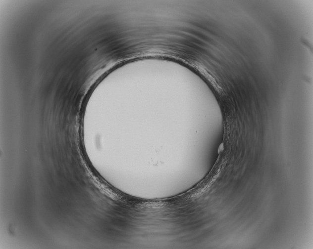 X0000096721134200803041356