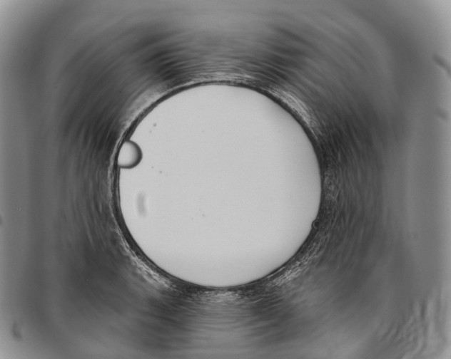 X0000096721135200803041356