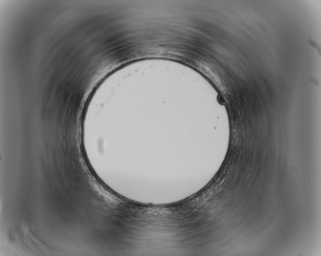 X0000096721136200803041356