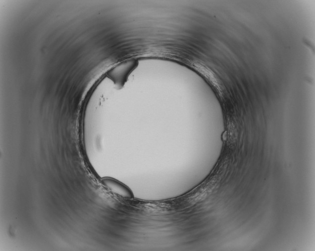 X0000096721138200803041356