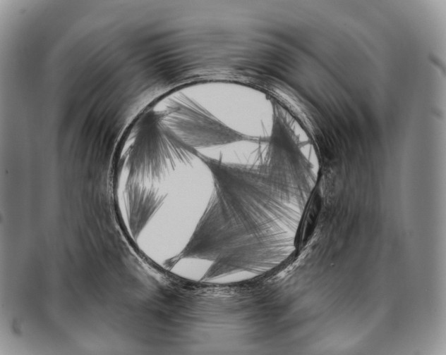 X0000096721141200803041356