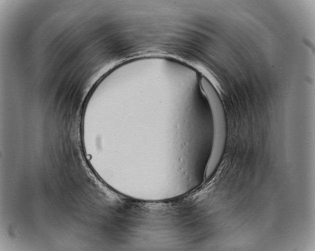 X0000096721142200803041356