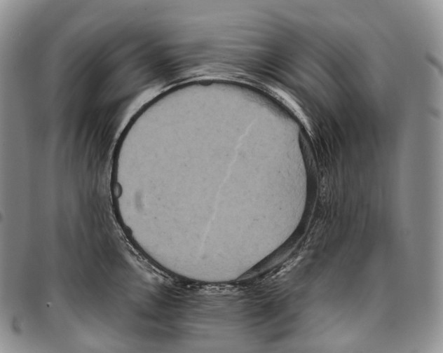 X0000096721146200803041356