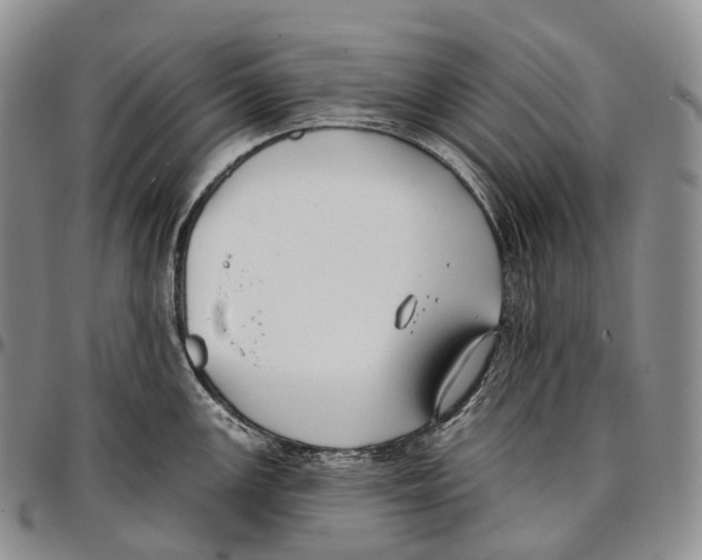 X0000096721147200803041356