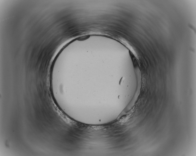 X0000096721148200803041356