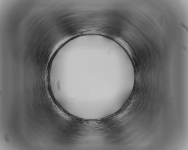 X0000096721149200803041356