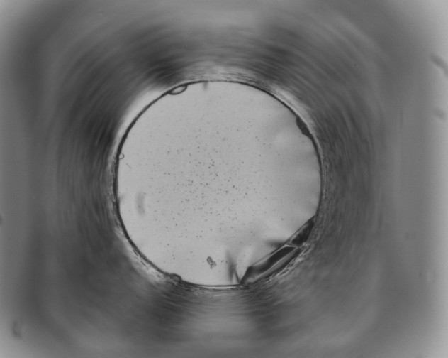 X0000096721152200803041356