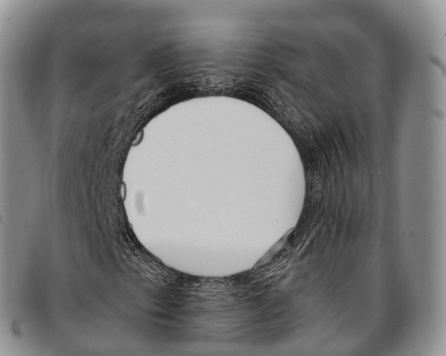 X0000096721153200803041356