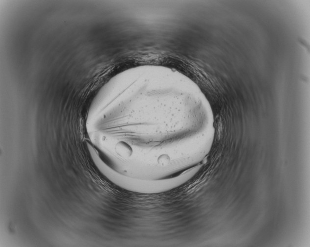 X0000096721156200803041356