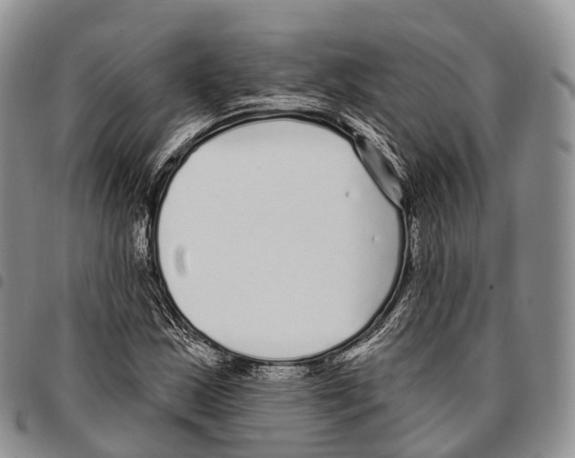 X0000096721163200803041356