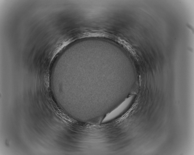 X0000096721165200803041356