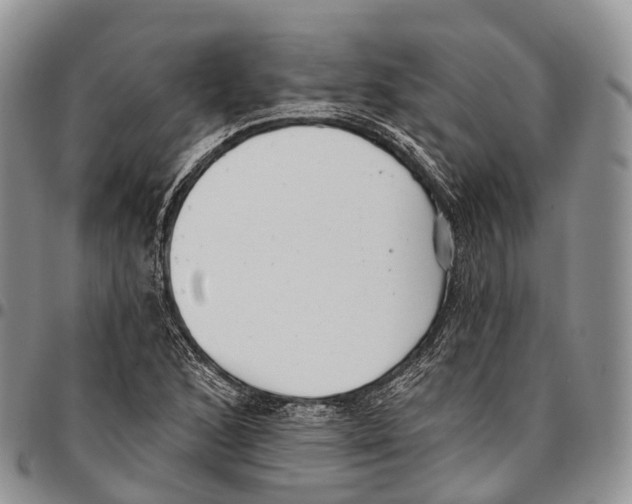 X0000096721168200803041356