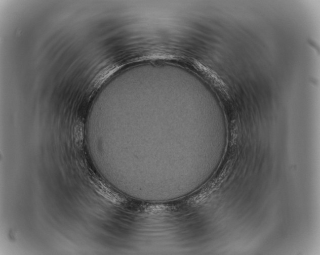 X0000096721169200803041356